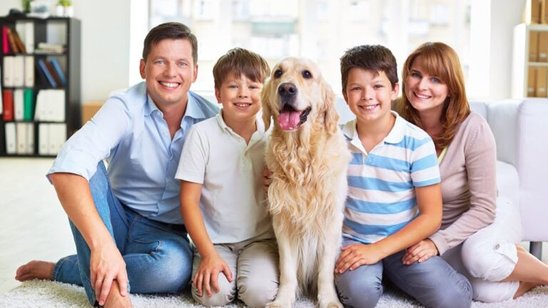 Child Support Obligations